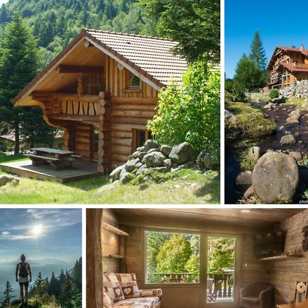 Le Couaroge Chalets Et Appartements La Bresse Buitenkant foto