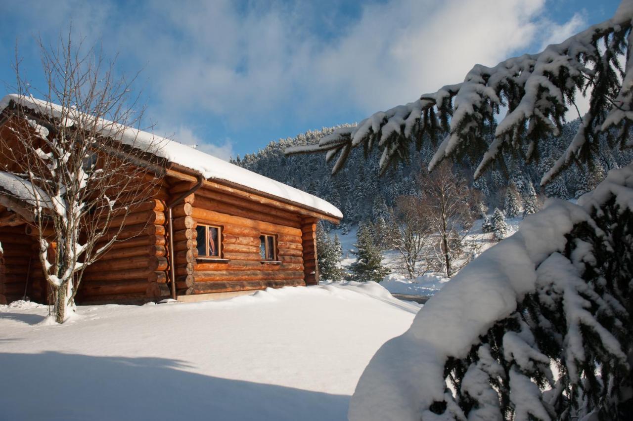 Le Couaroge Chalets Et Appartements La Bresse Buitenkant foto