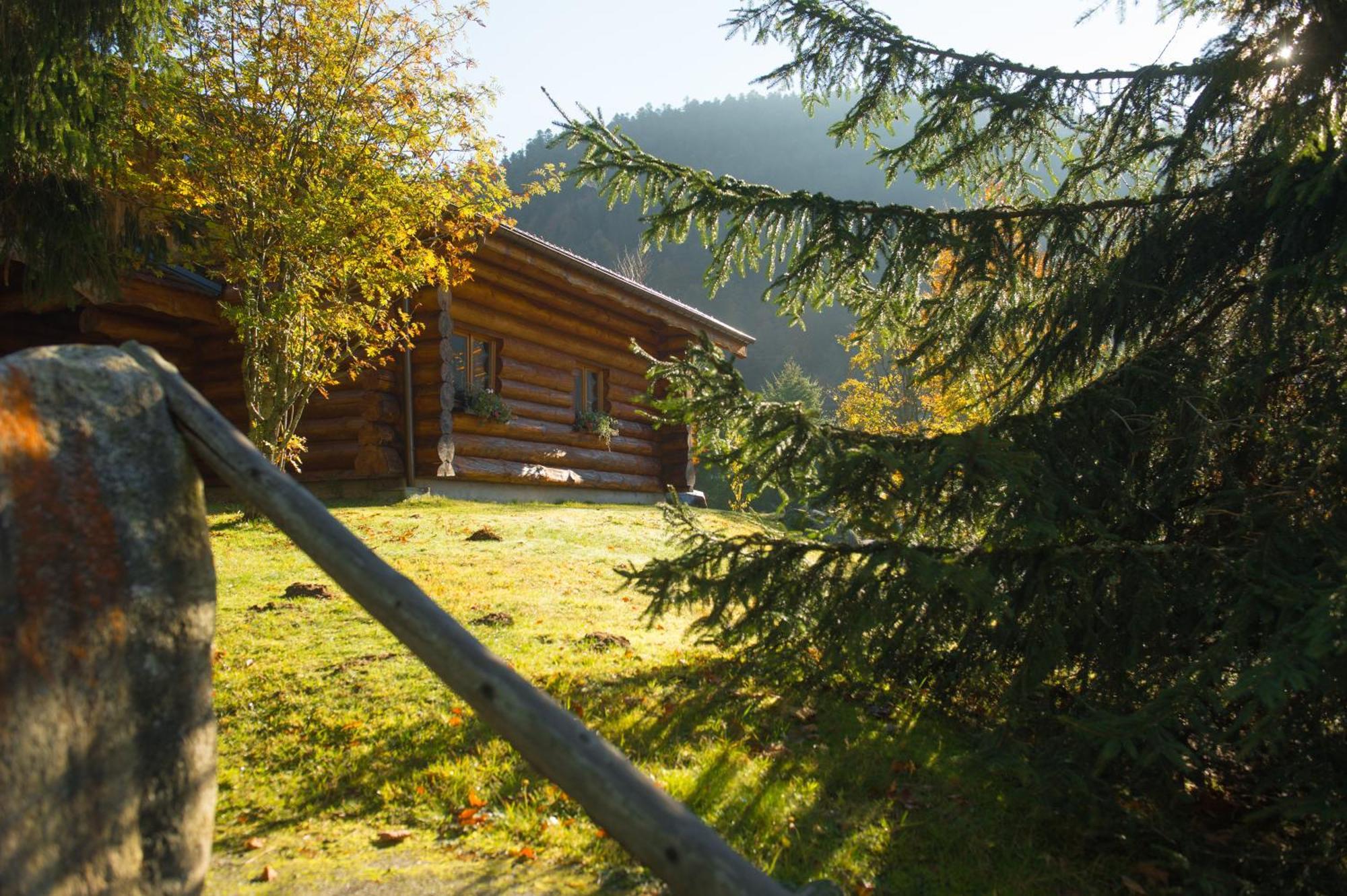 Le Couaroge Chalets Et Appartements La Bresse Buitenkant foto