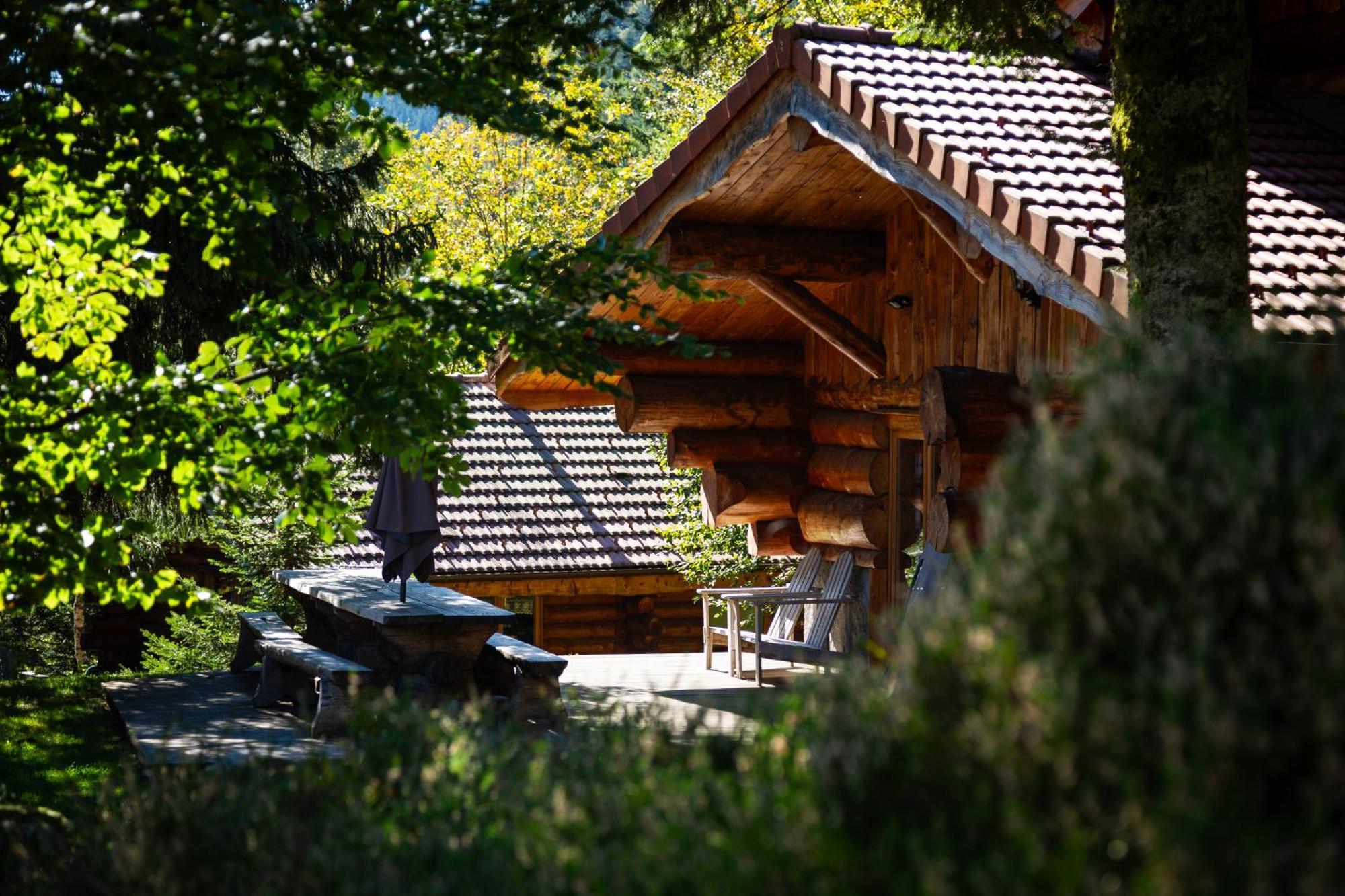 Le Couaroge Chalets Et Appartements La Bresse Buitenkant foto