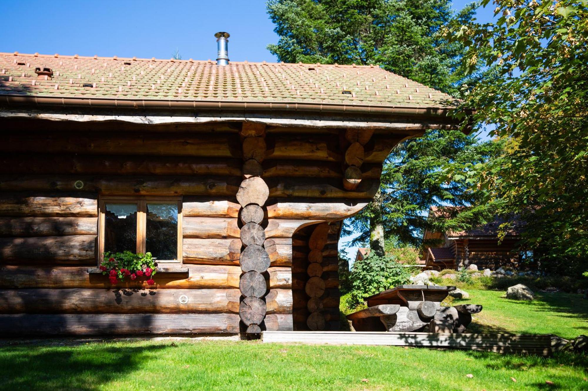 Le Couaroge Chalets Et Appartements La Bresse Buitenkant foto