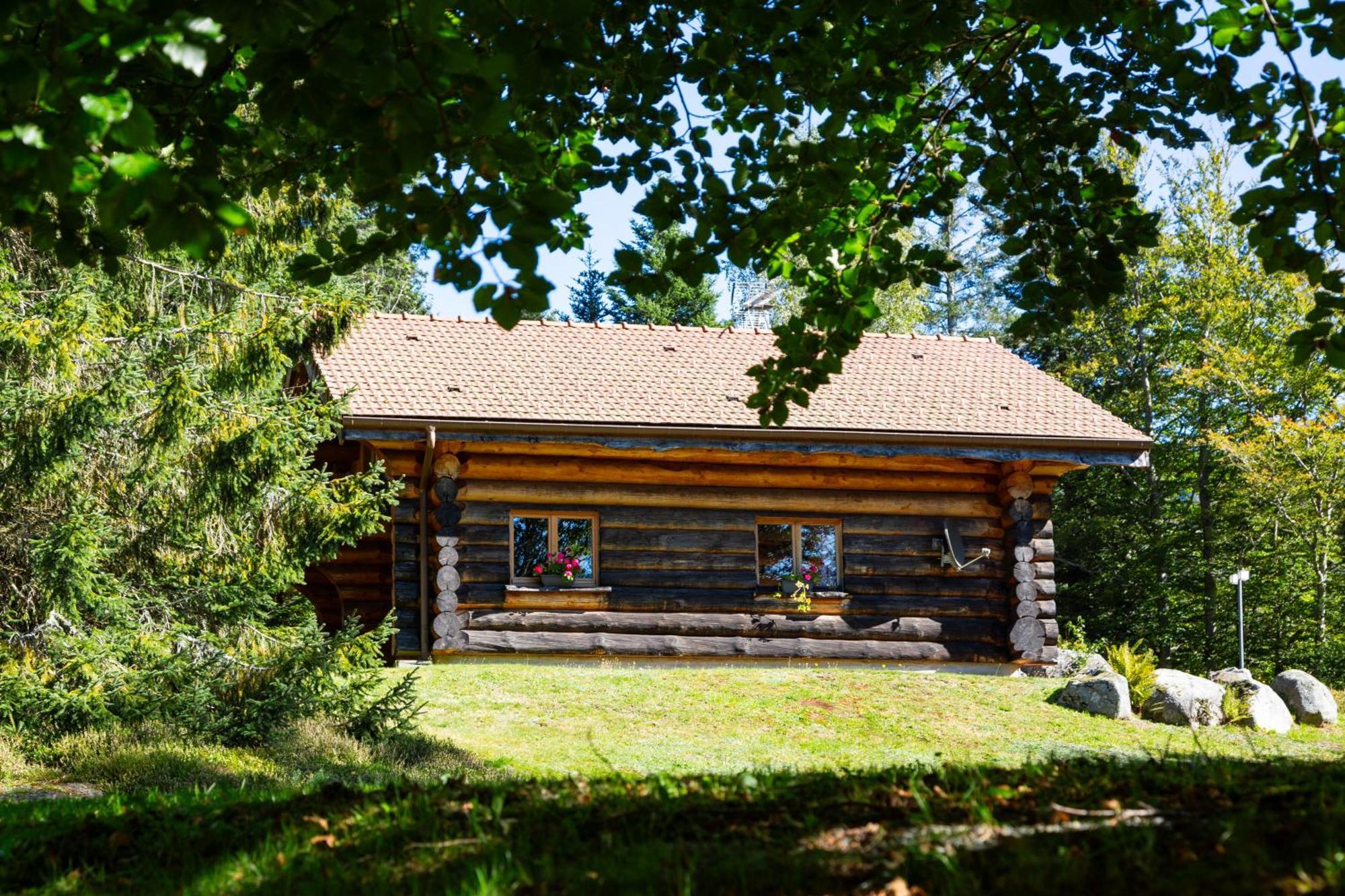 Le Couaroge Chalets Et Appartements La Bresse Buitenkant foto
