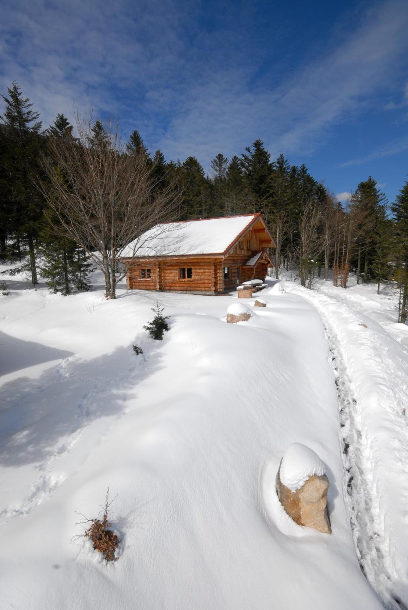 Le Couaroge Chalets Et Appartements La Bresse Buitenkant foto